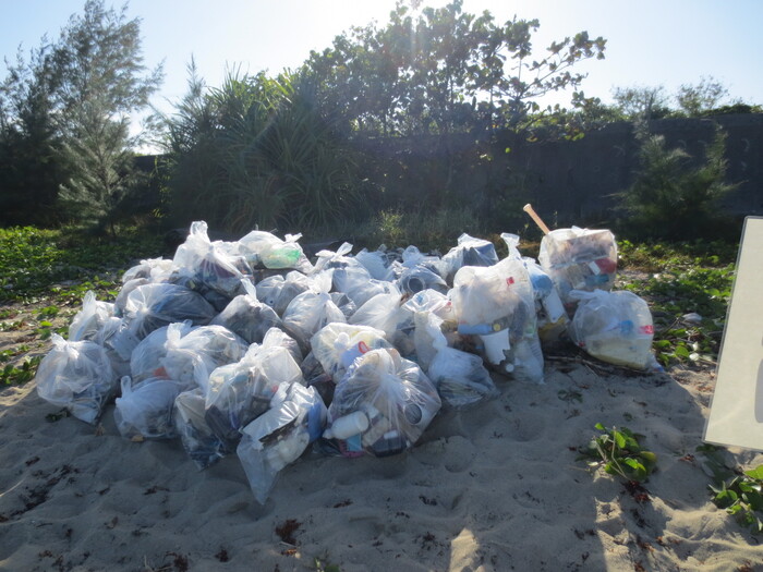 漂着ゴミ　の　回収成果