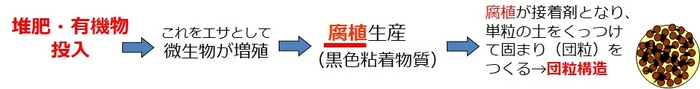 腐植が接着剤となり団粒をつける