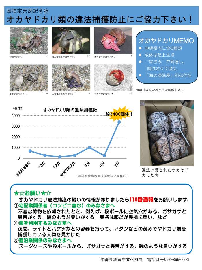 オカヤドカリ類の違法捕獲防止にご協力下さい!