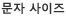 문자 사이즈