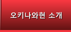 오키나와현 소개