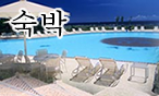 숙박( External link )