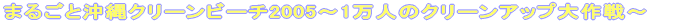 �܂邲�Ɖ���N���[���r�[�`2005�`1���l�̃N���[���A�b�v����`