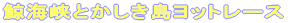 �~�C���Ƃ����������b�g���[�X