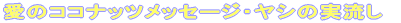 ���̃R�R�i�b�c���b�Z�[�W�E���V�̎�����